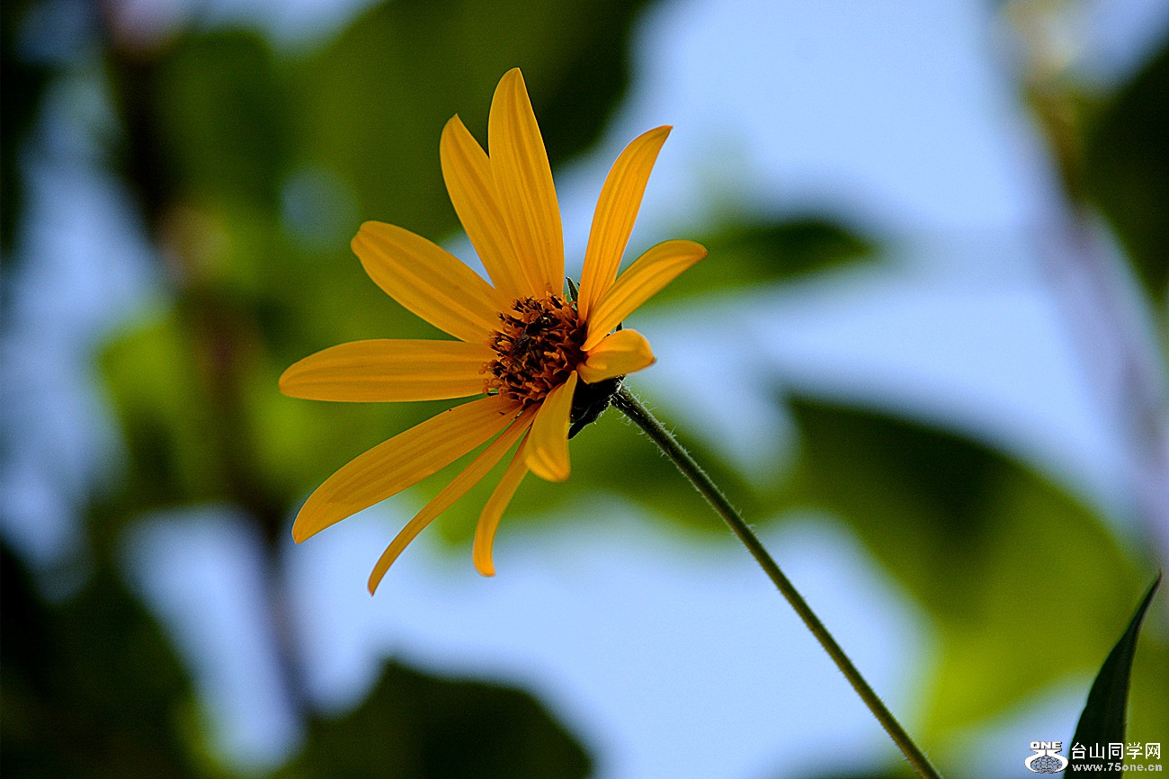 DSC_5011_32.jpg