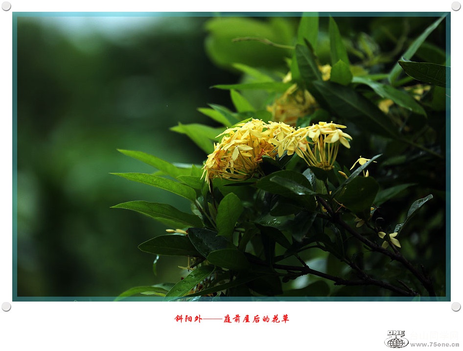 DPP_2017.6.130187_.jpg