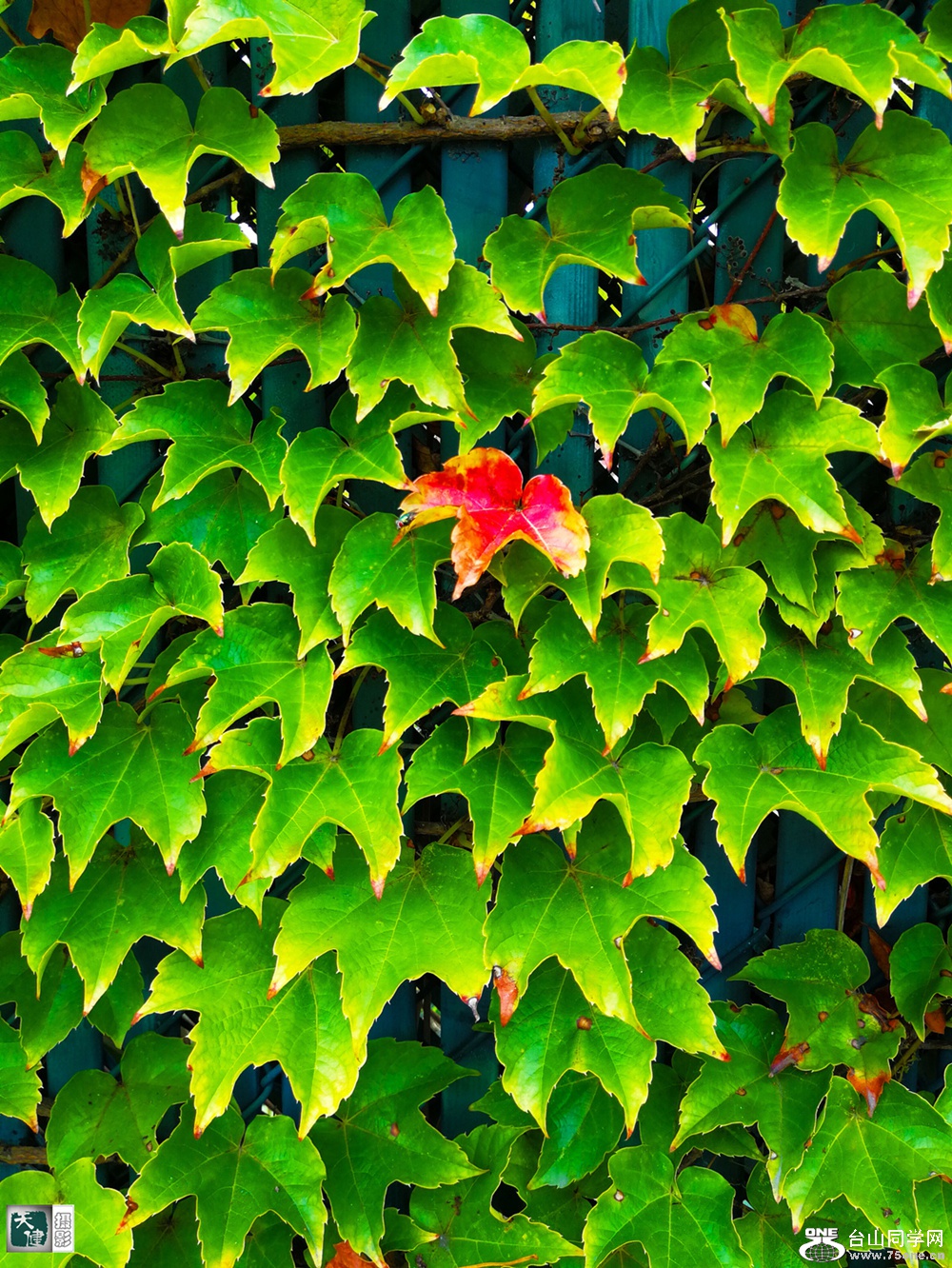 IMG_20170903_164800 (2)_.jpg