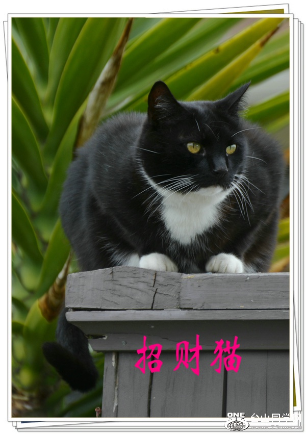 DSC_4085.jpg