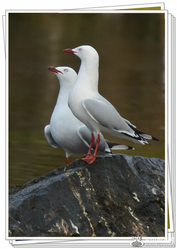 DSC_1434.jpg