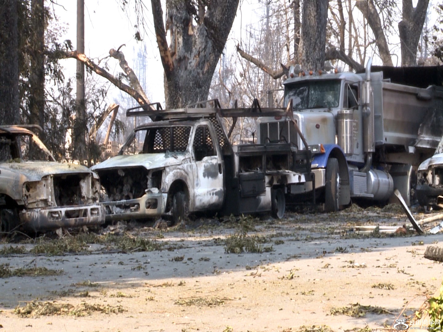 Santa Rosa Fire 09.jpg