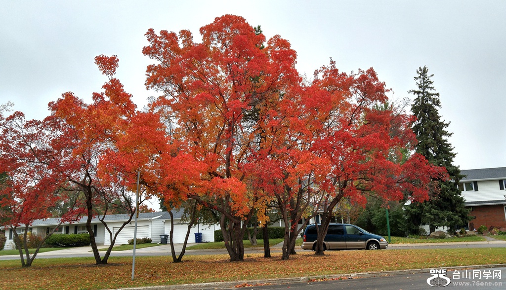 20171002_124322_HDR_.jpg