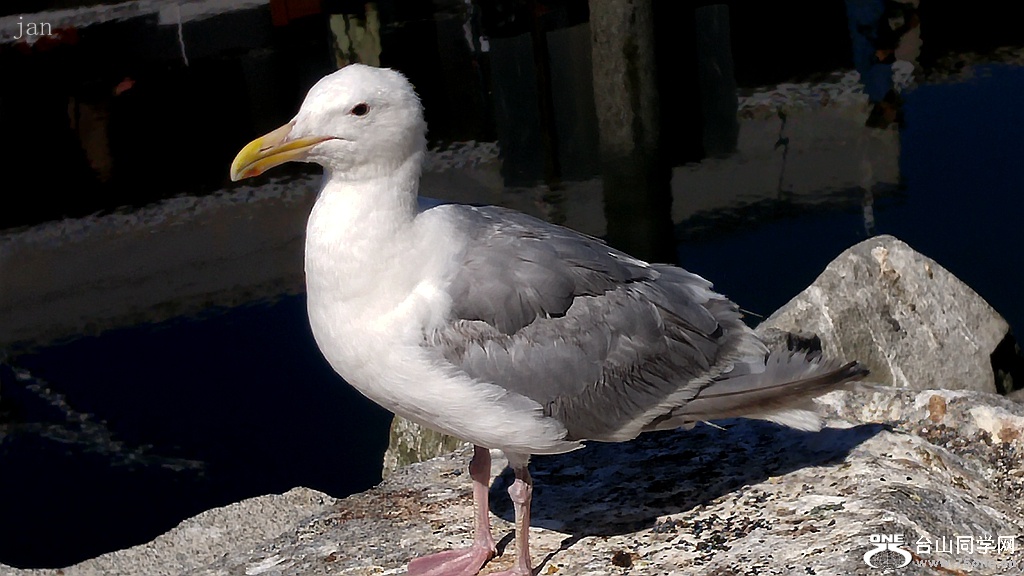 20170826_145515.jpg