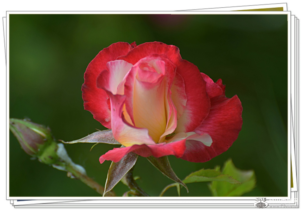 DSC_5541.jpg