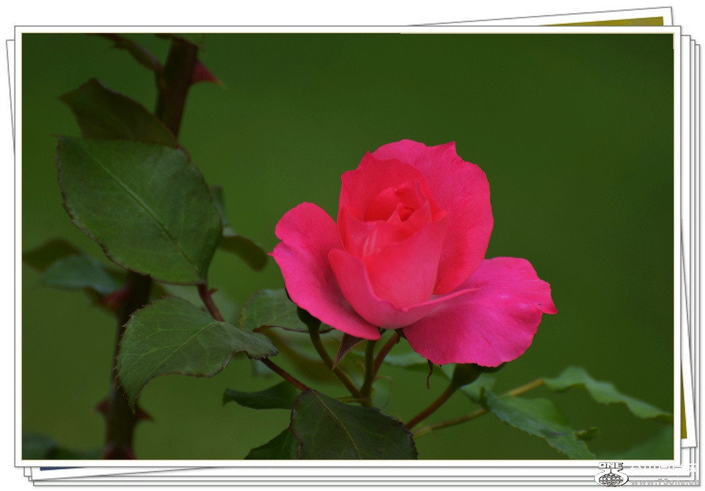 DSC_6405.jpg
