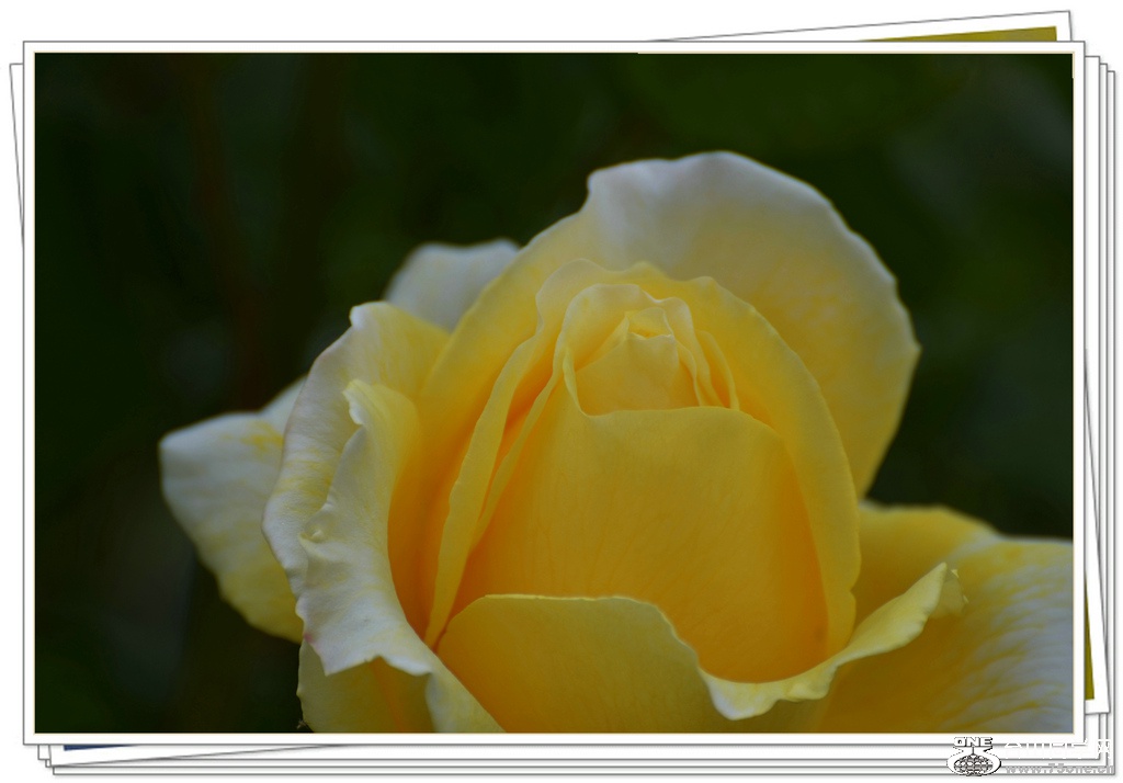 DSC_6335.jpg