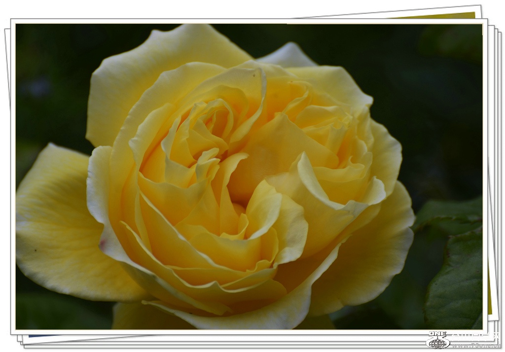 DSC_6329.jpg