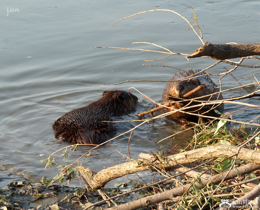 DSC04934_.jpg