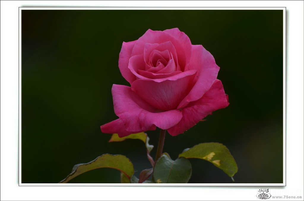 DSC_6608.jpg