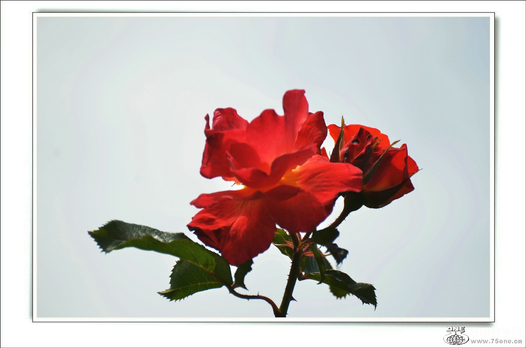 DSC_6873.jpg