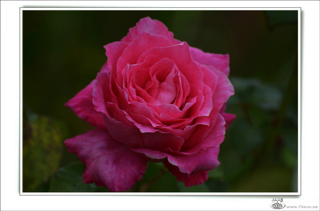 DSC_6614.jpg