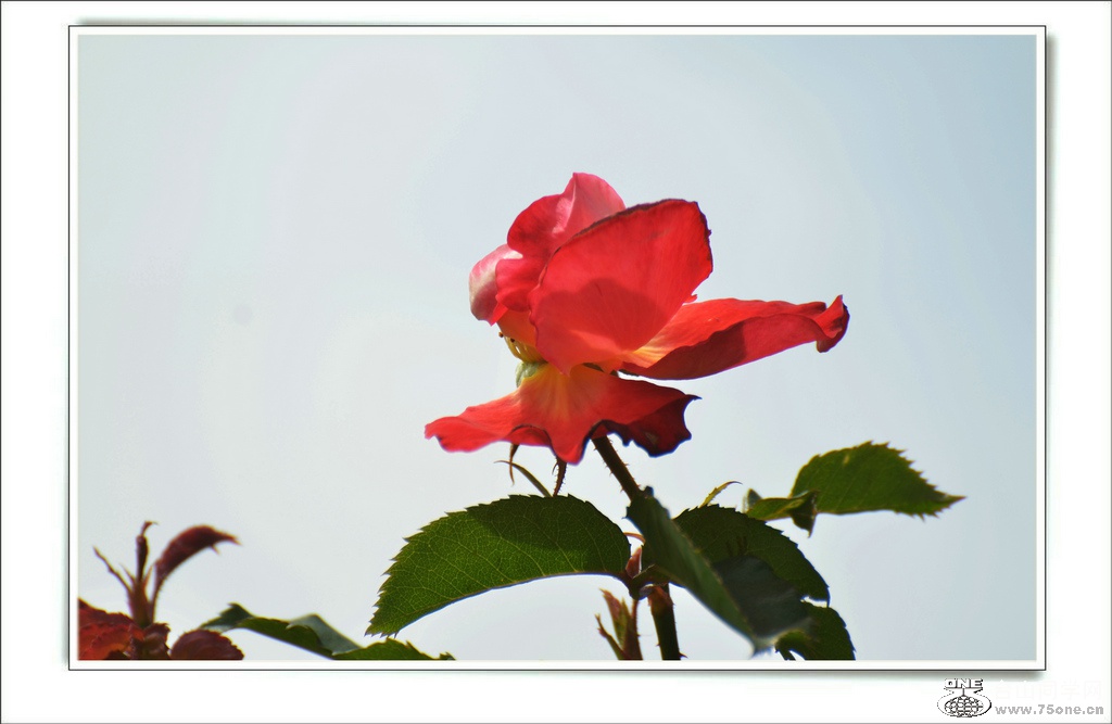 DSC_6875.jpg