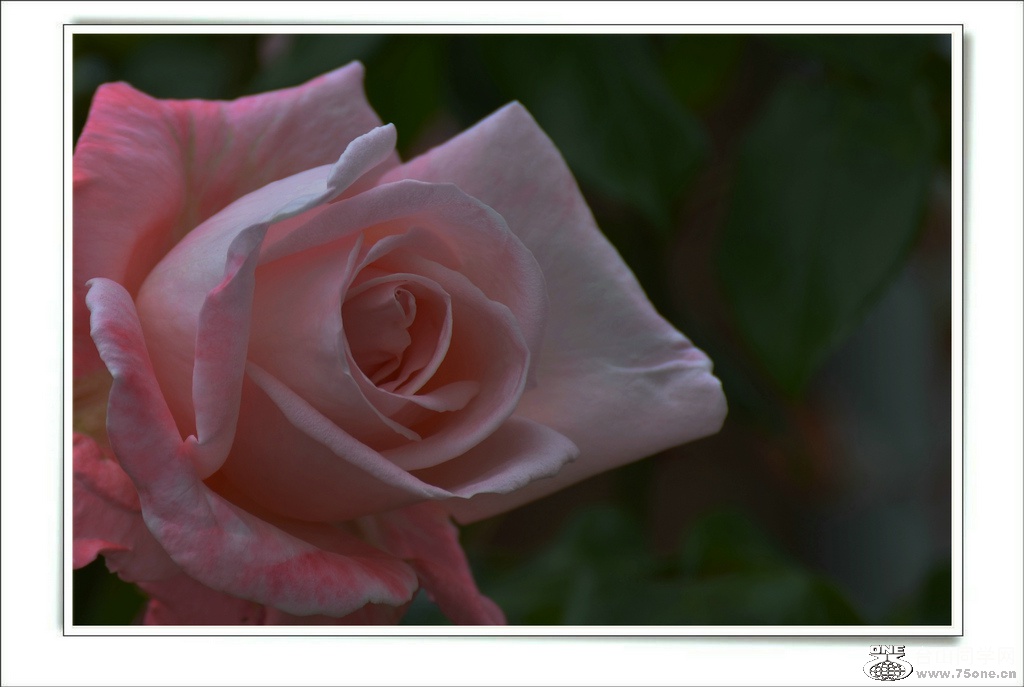 DSC_6512.jpg