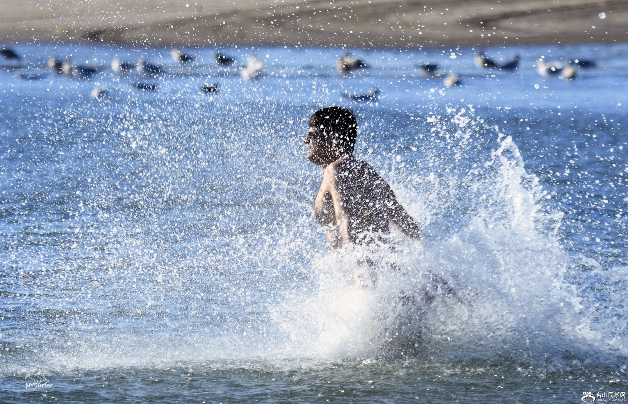 DSC_51581.jpg