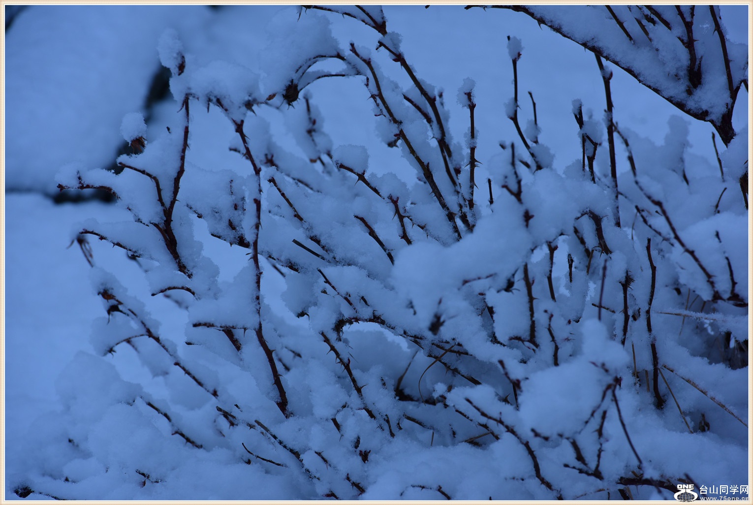 DSC_9095.jpg