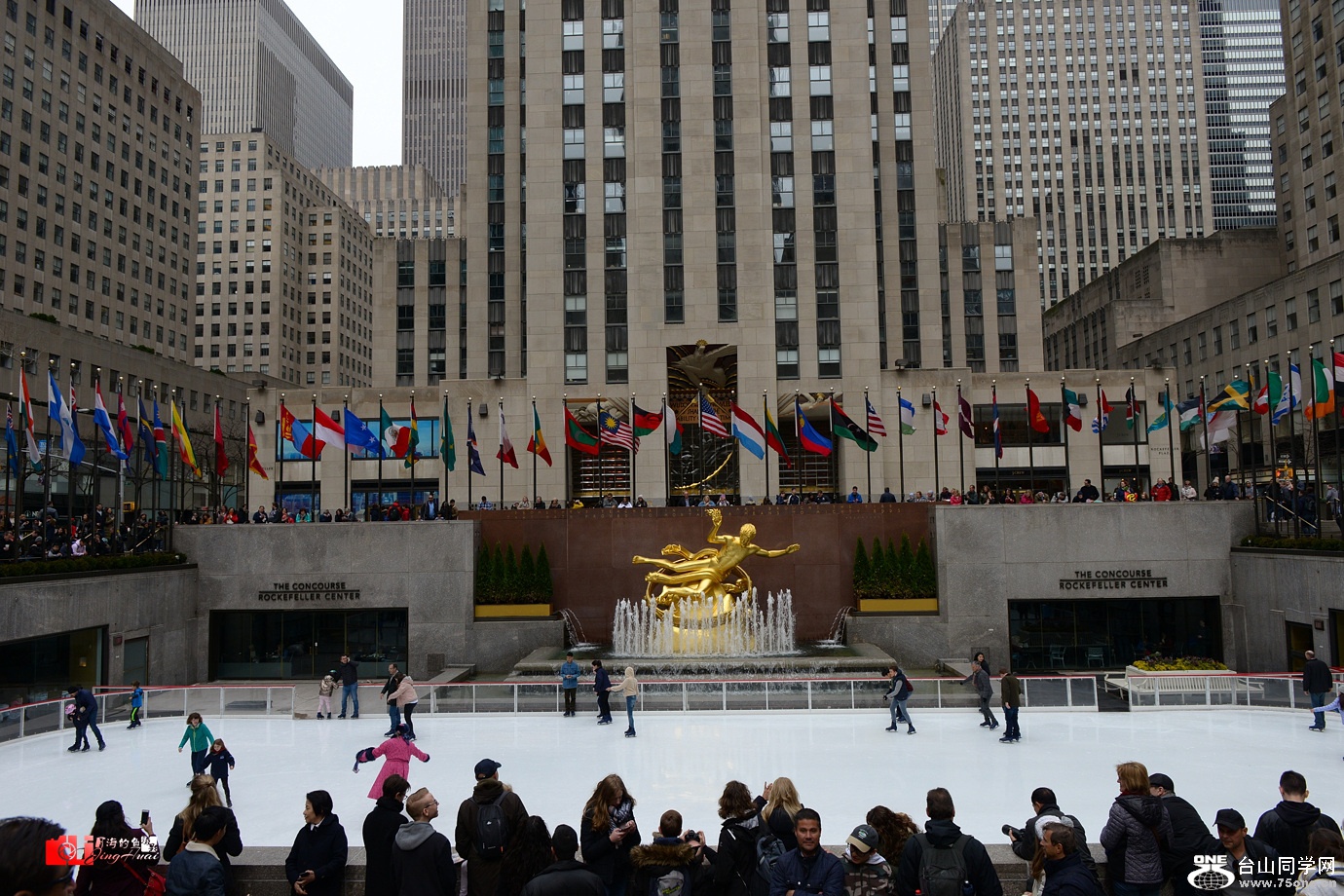 DSC_0695.jpg