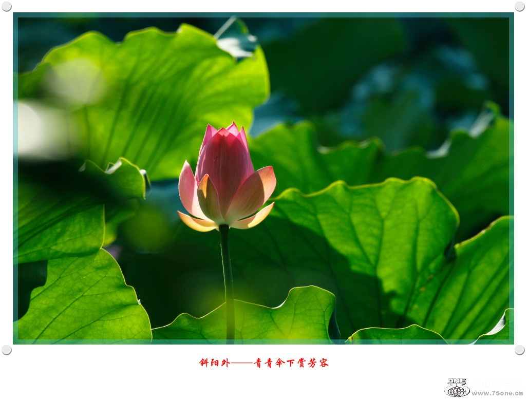 DPP_2018.5.19-20005_.jpg
