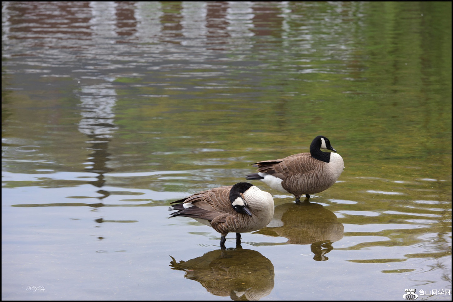 DSC_3067.jpg