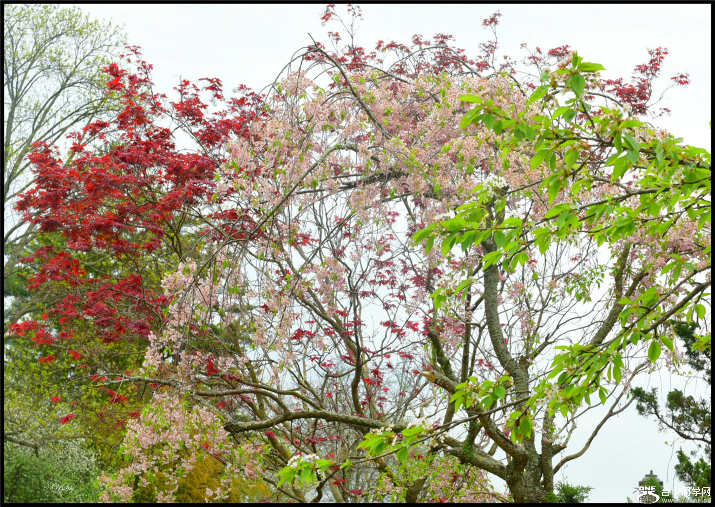 DSC_2924_meitu_6.jpg