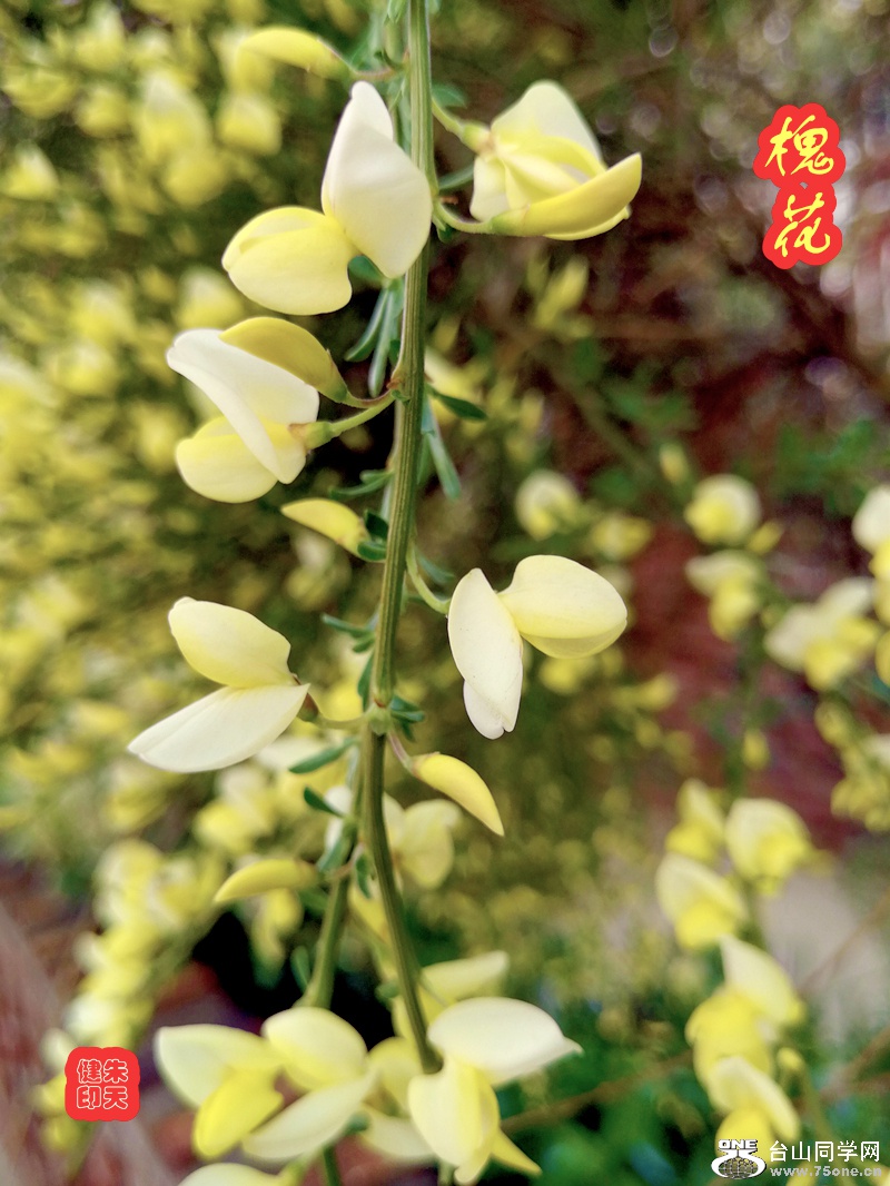 IMG_20180511_175445 (2)_.jpg