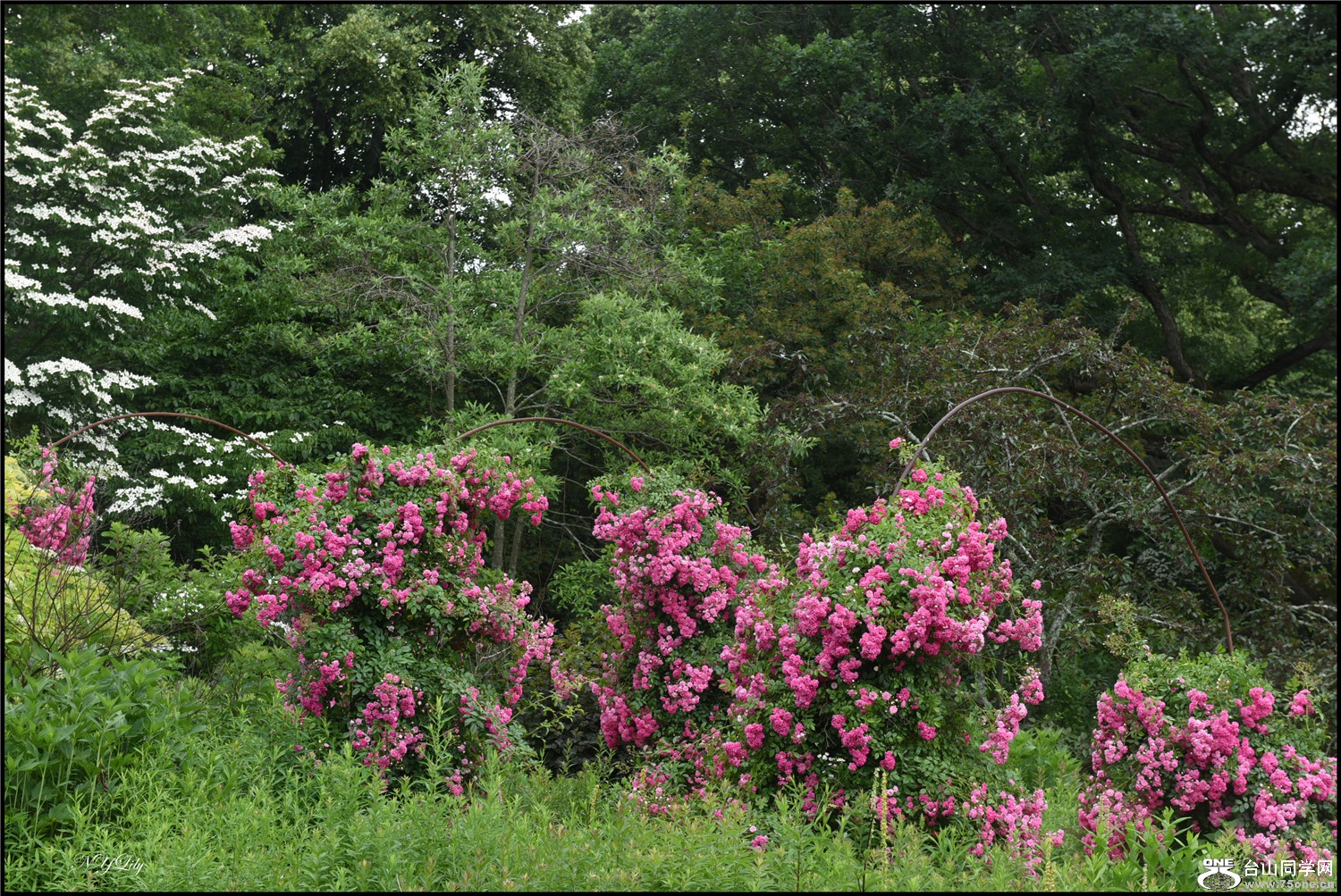 DSC_9163.jpg