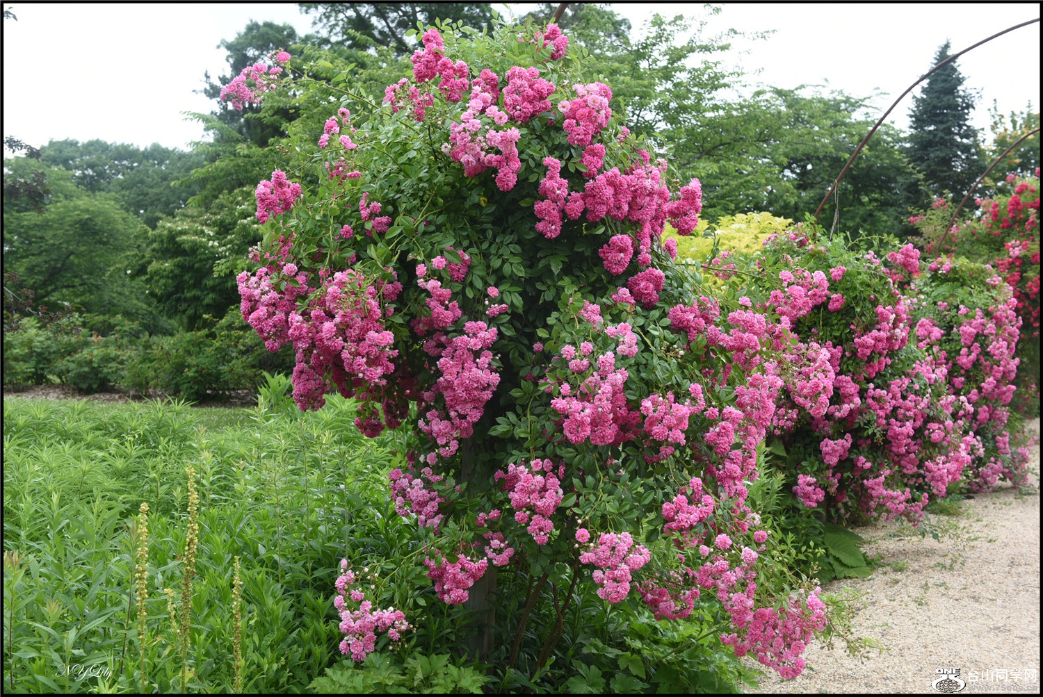 DSC_9176.jpg