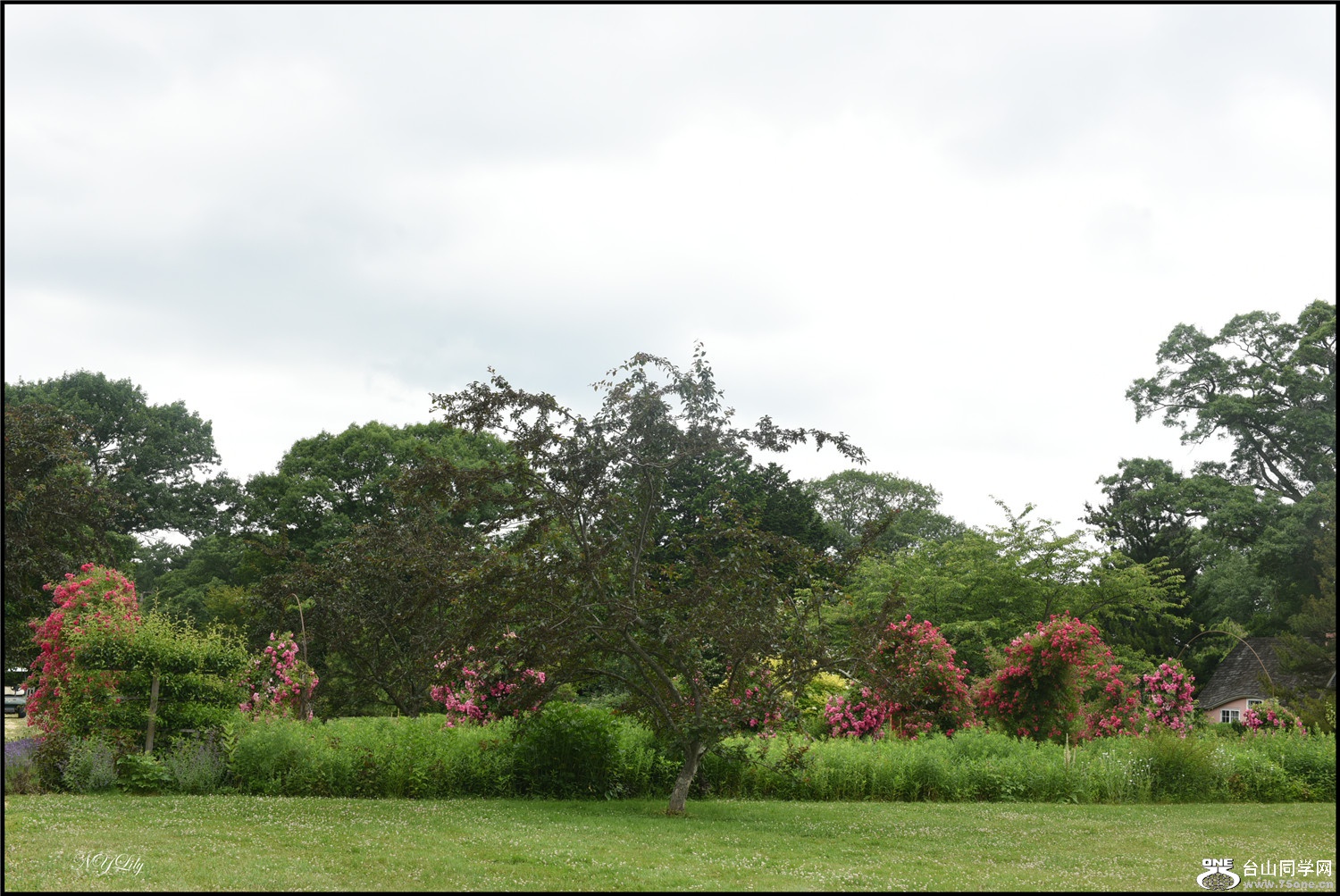 DSC_9161.jpg