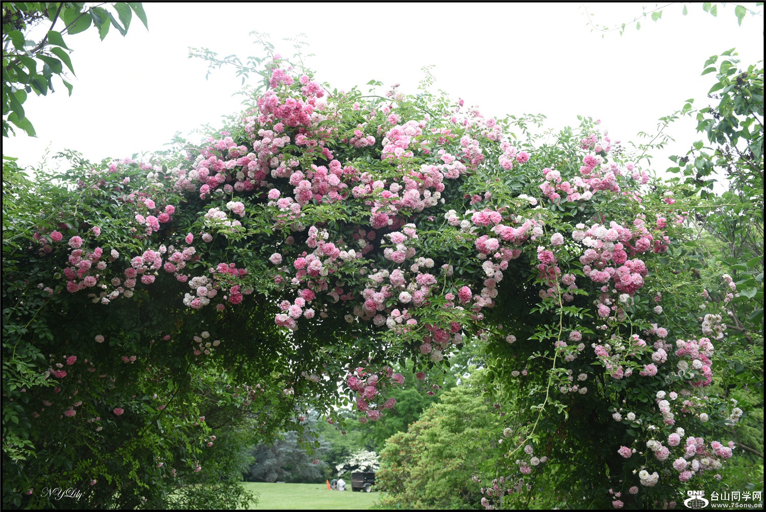 DSC_9229.jpg