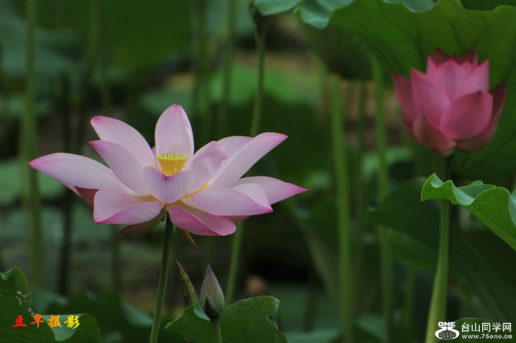 DSC_3696.JPG
