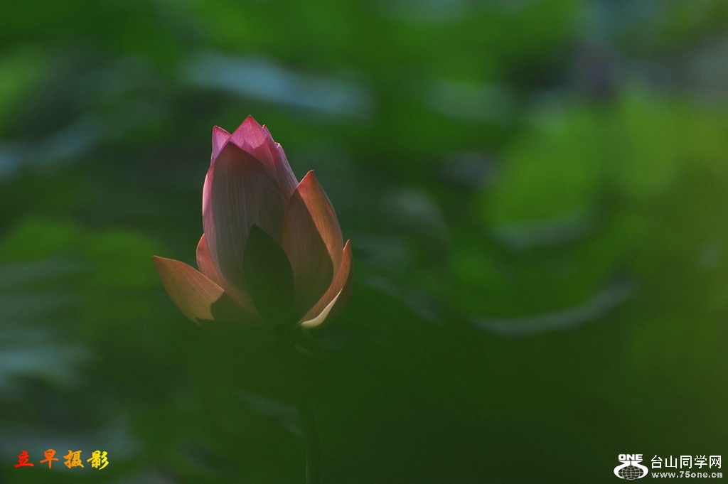 DSC_4040.jpg
