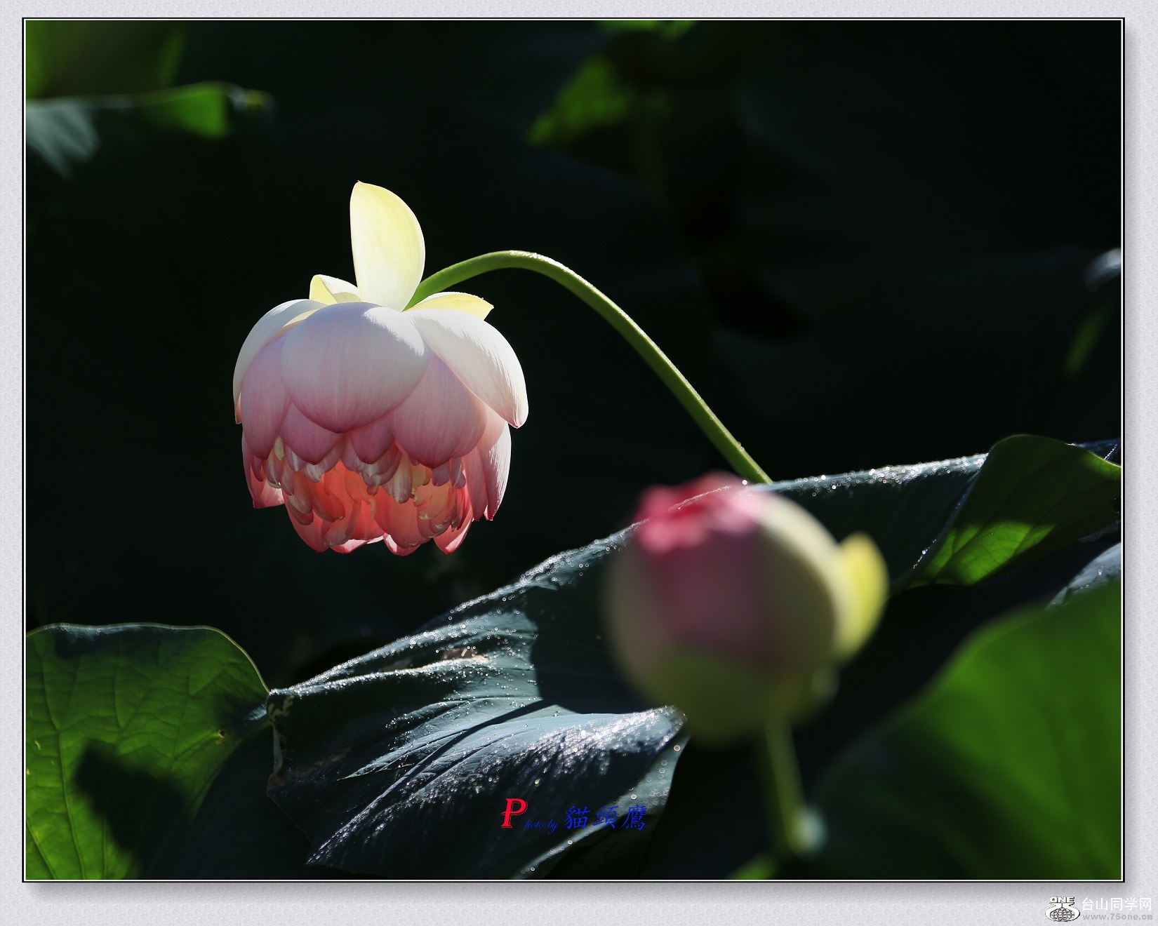 3N9A1902-2 - }u (2).jpg