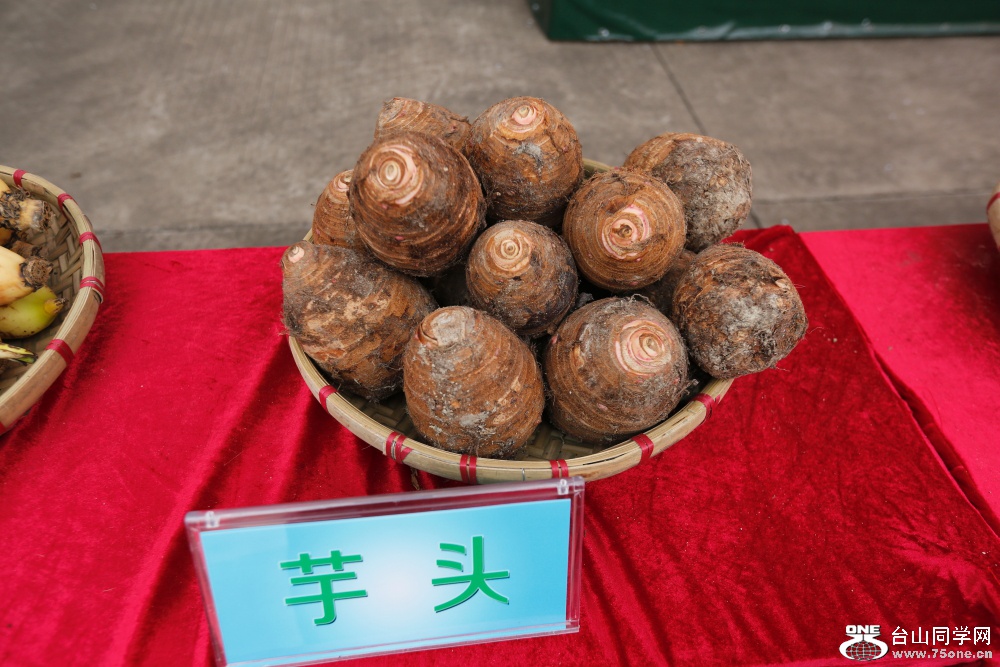DPP_2018.9.90159.JPG