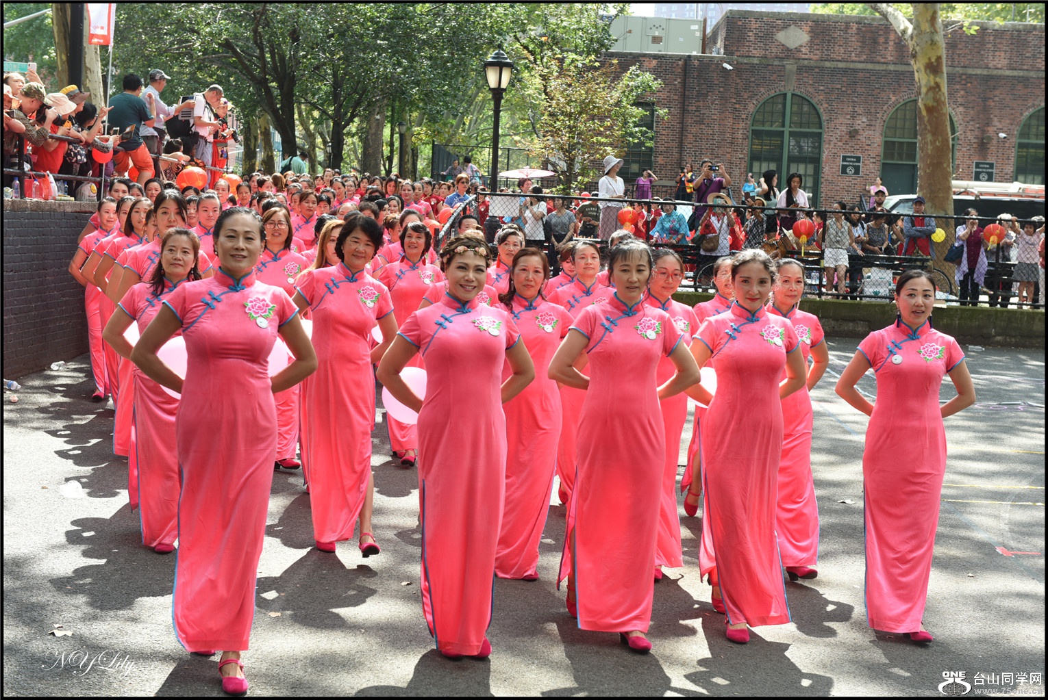 DSC_7994.jpg