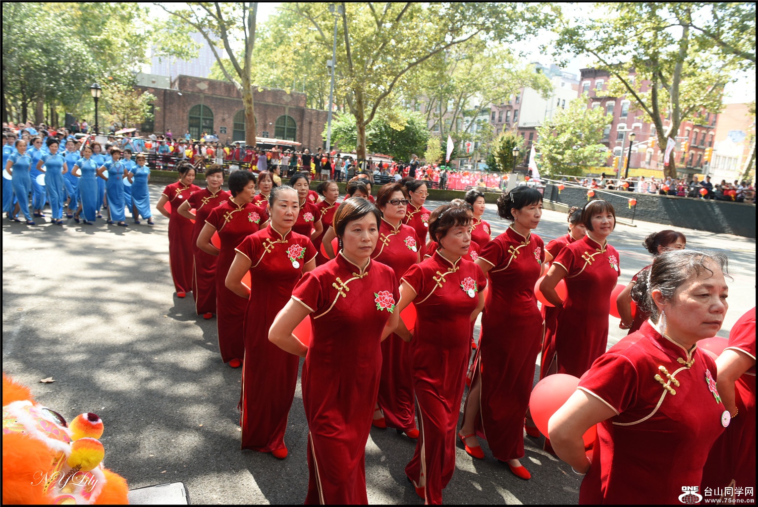 DSC_7960.jpg