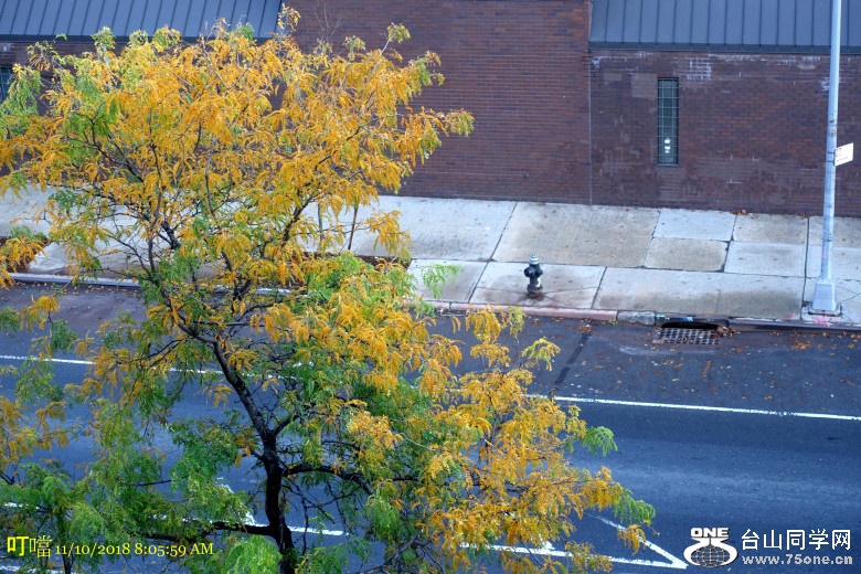 DSC02596_1.JPG