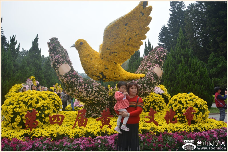 7.DSC_0328.jpg