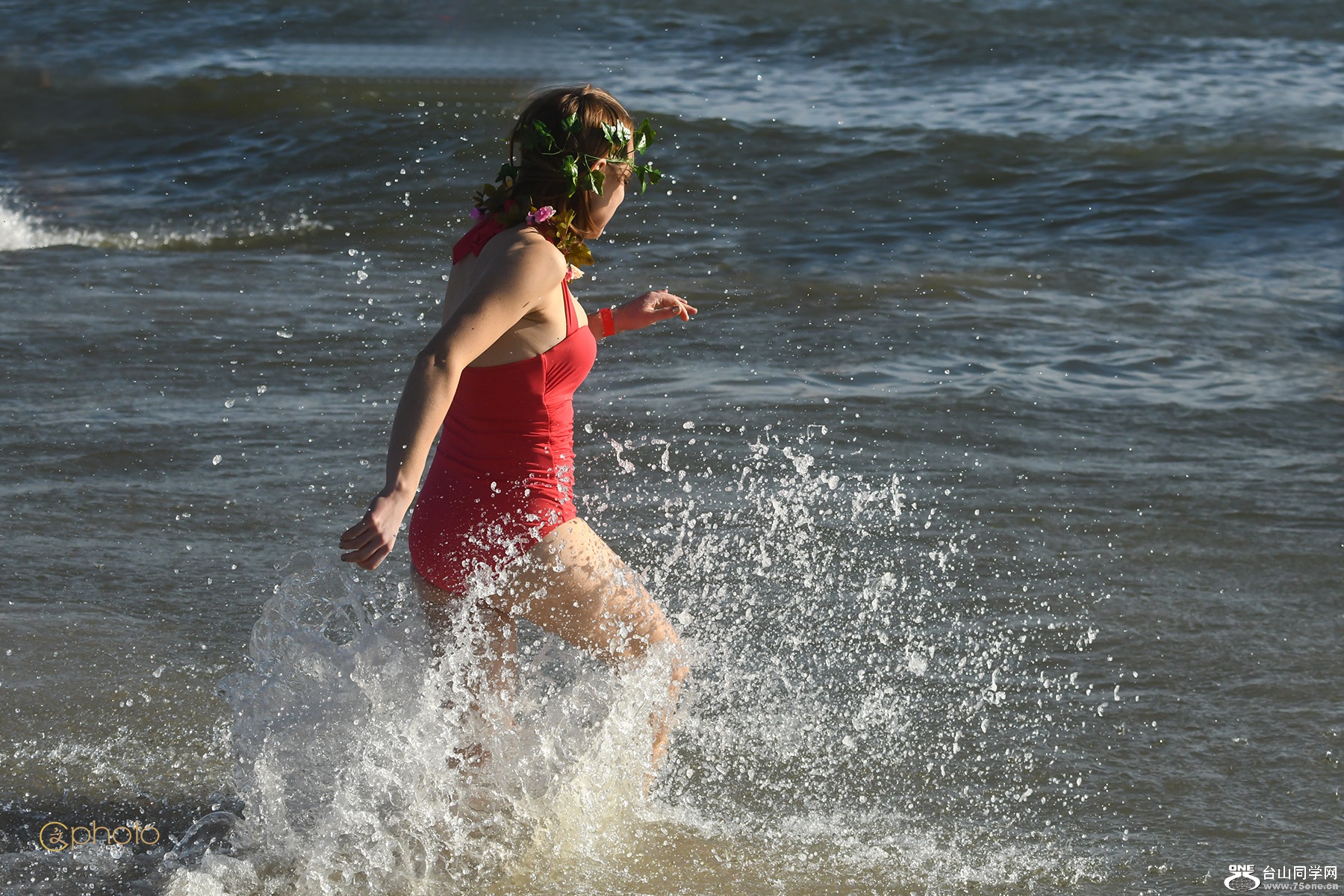 DSC_31669.jpg