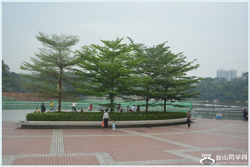 DSC_2083.jpg
