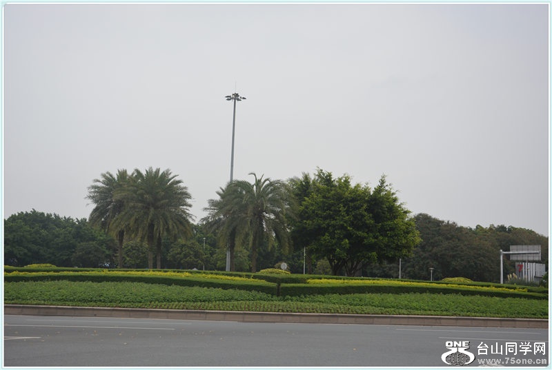 29.DSC_2038.jpg