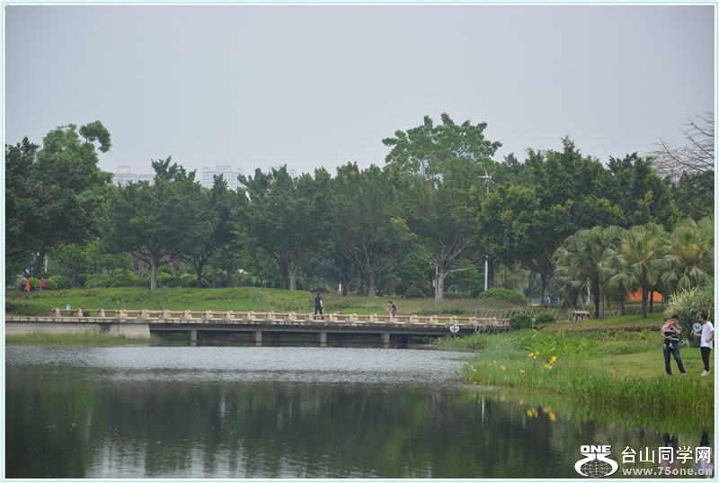 10.DSC_2015.jpg