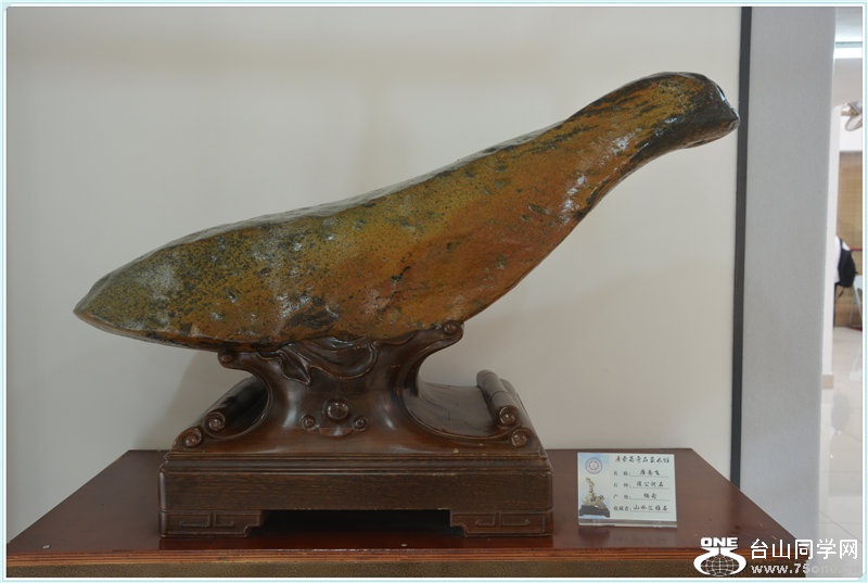 62.DSC_2307.jpg
