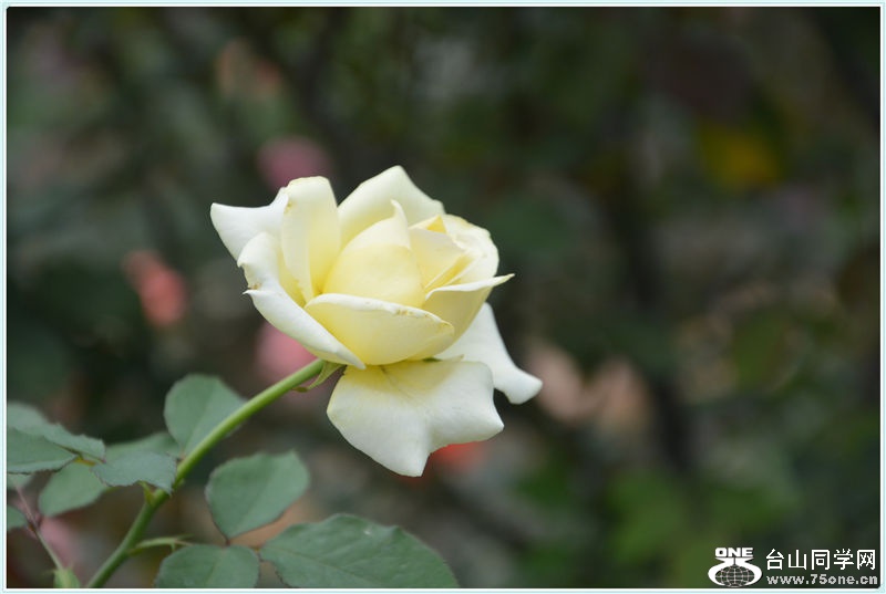 DSC_2206.jpg