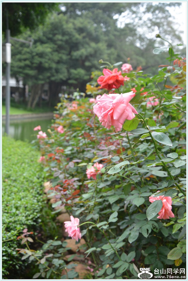 18.DSC_2330.jpg