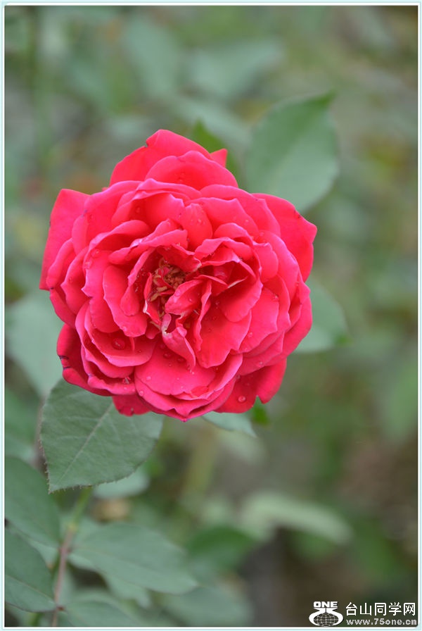 DSC_2208.jpg