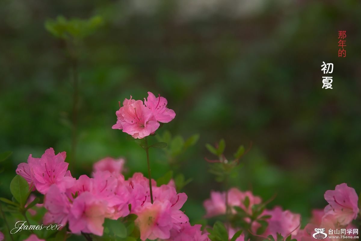 ttuuhh (9 - 14) .jpg