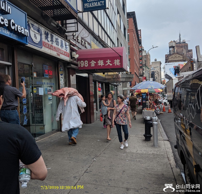 IMG_20190703_123923a_1.jpg