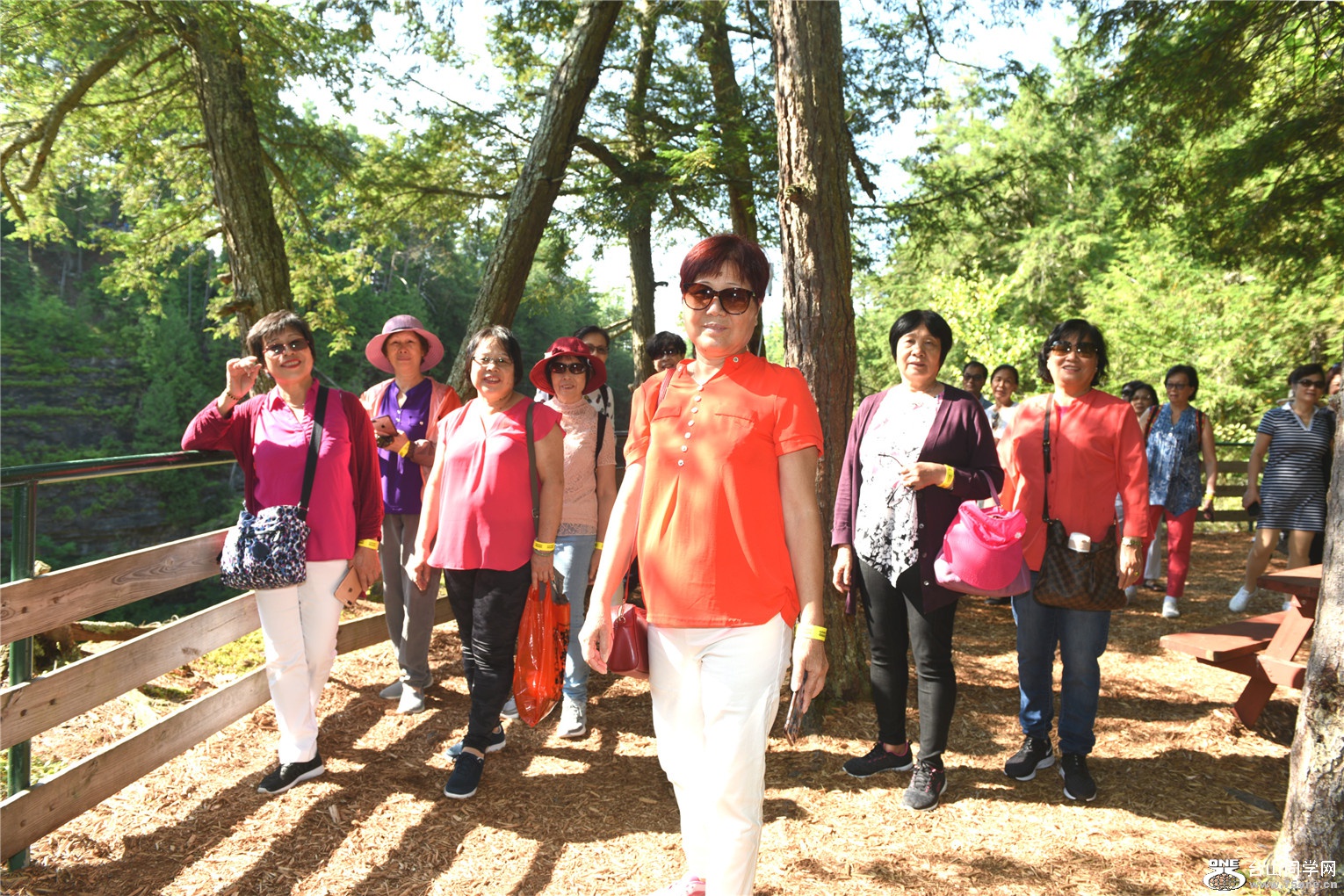 DSC_8500_meitu_3.jpg