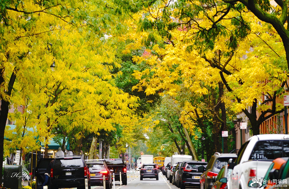 DSC01546 =copy__.jpg