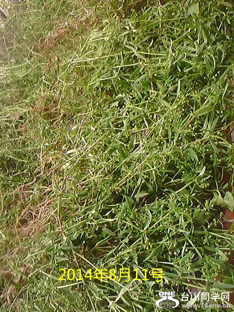 IMG1186A_.jpg
